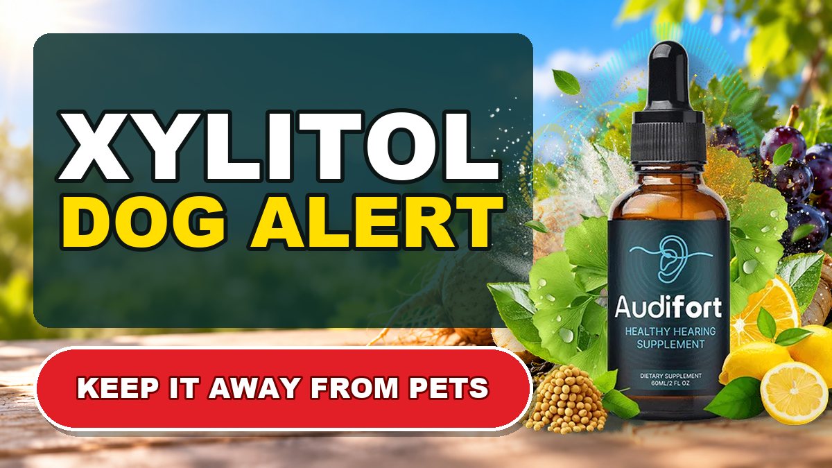 Audifort and xylitol: a warning for dog owners