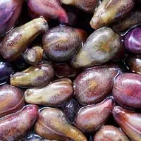 Close-up of a pile of grape seeds