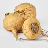 Three whole maca roots on a white background